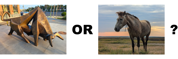 bull-bear-horse-market-aspira-wealth-victoria-bc